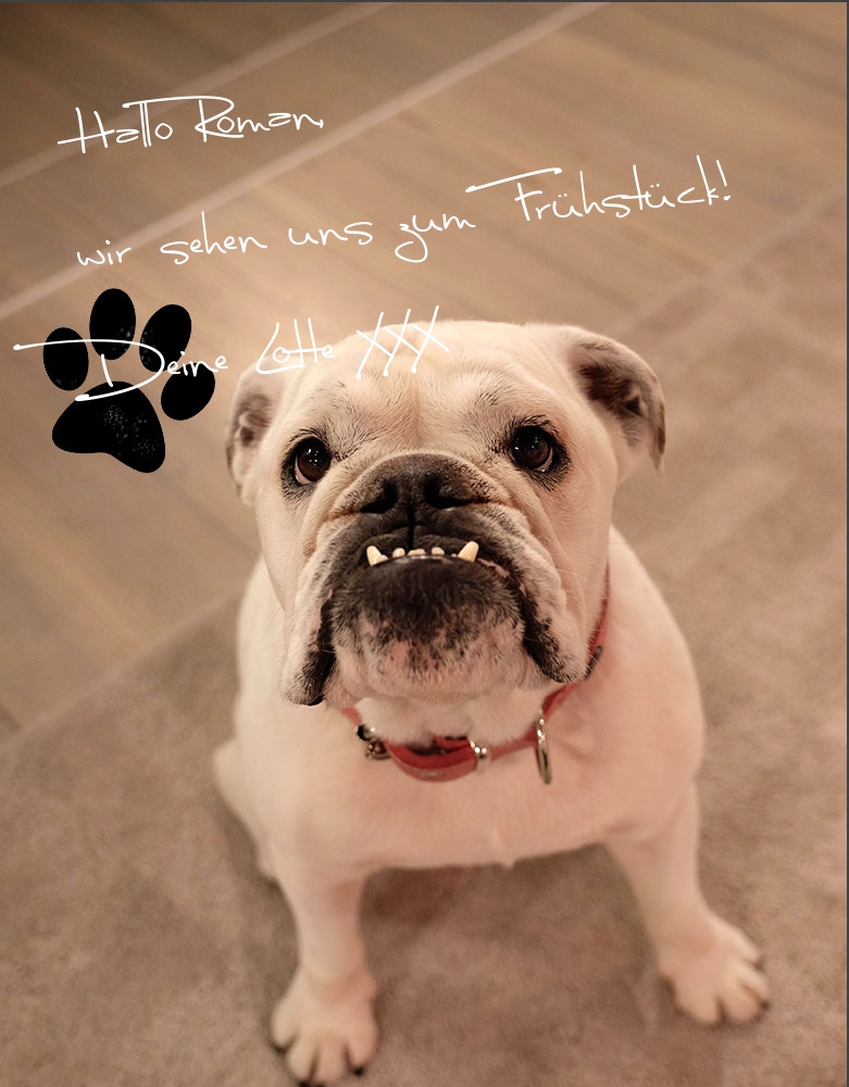 Meine #Lotte idolCARD  #sat1ffs 